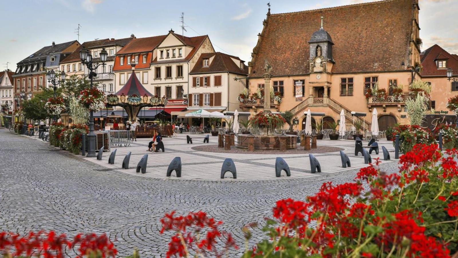 Studio Cosy A Molsheim Calme, Centre-Ville Et Acces Strasbourg Extérieur photo